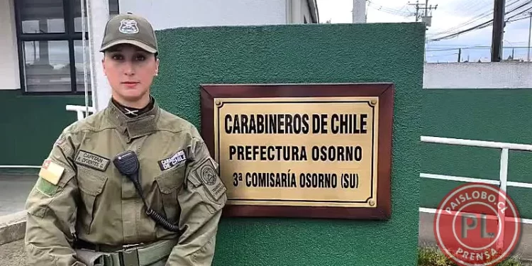 Cuatro detenidos en Osorno por microtráfico de drogas en Francke