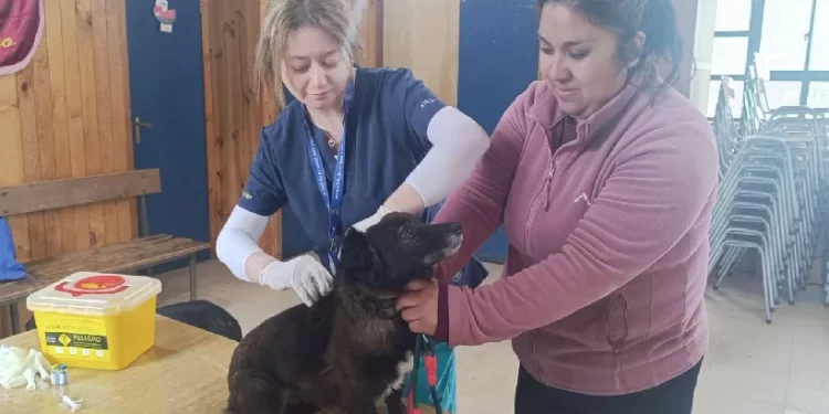 Realizan operativo veterinario en el sector rural de San Juan de la Costa